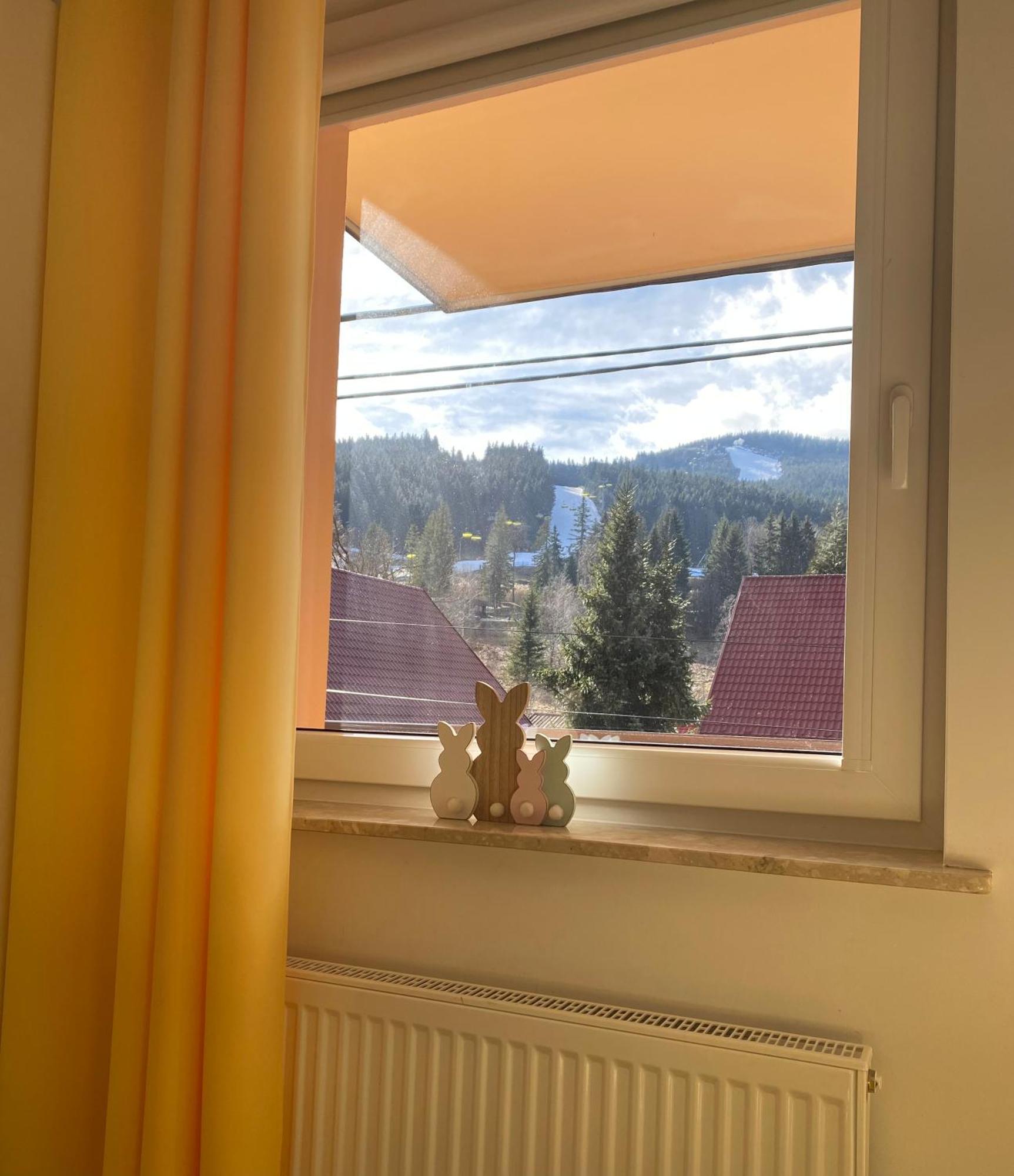 Apartamenty Pod Rudka Czarna Gora Agroturystyka Sienna  Exterior photo