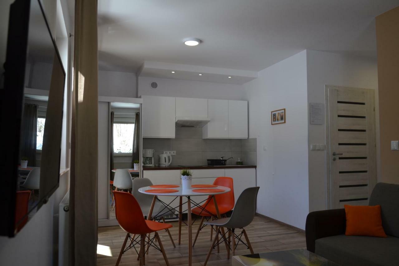 Apartamenty Pod Rudka Czarna Gora Agroturystyka Sienna  Exterior photo